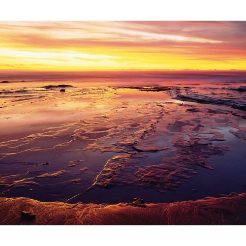 California, San Diego, Sunset Cliffs tide pools